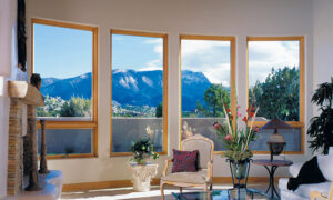 blog_custom_home_design_shedding