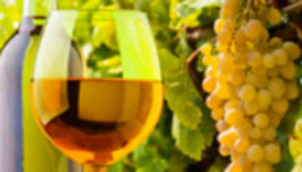 pic_beer_wine
