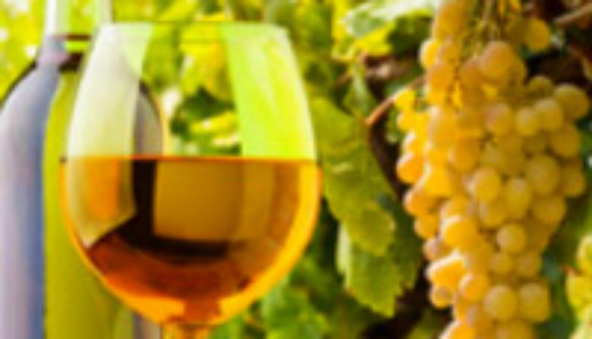 pic_beer_wine